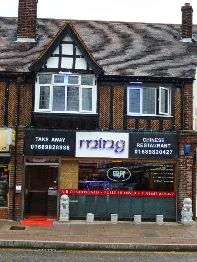 Ming Chinese Restaurant - image 1