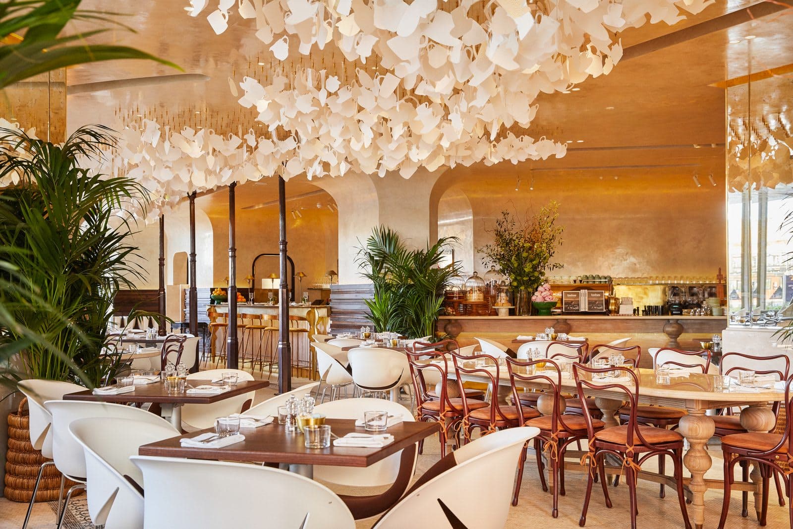 tashas Battersea - image 1