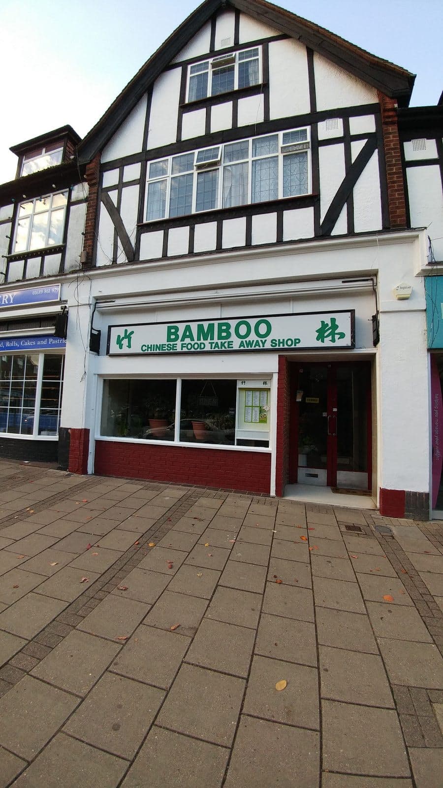 bamboo - image 1