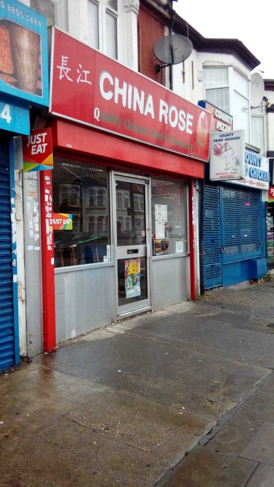 China Rose - image 1