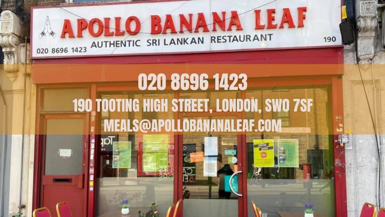 Apollo Banana Leaf - image 1