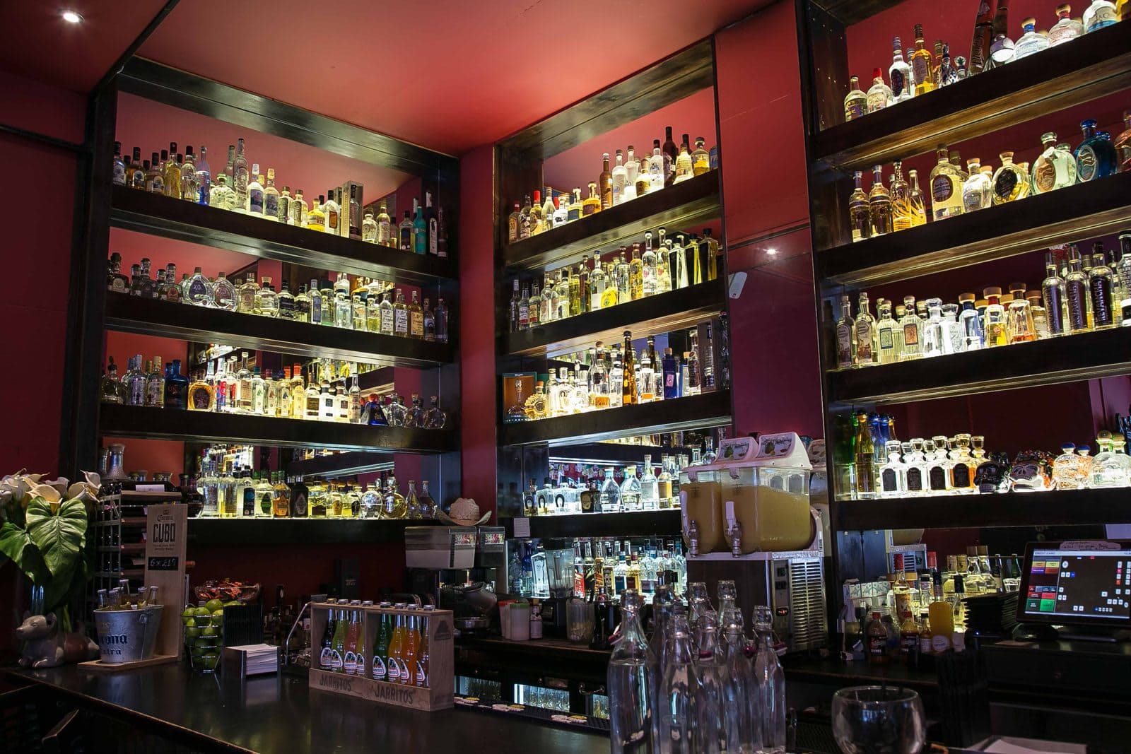 Mestizo Mexican Restaurant & Tequila Bar - image 1