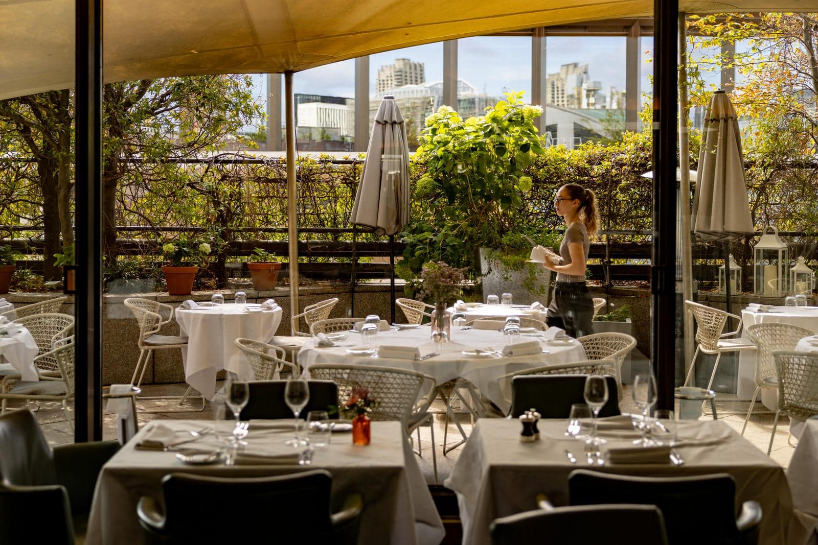 Coq d'Argent - image 1