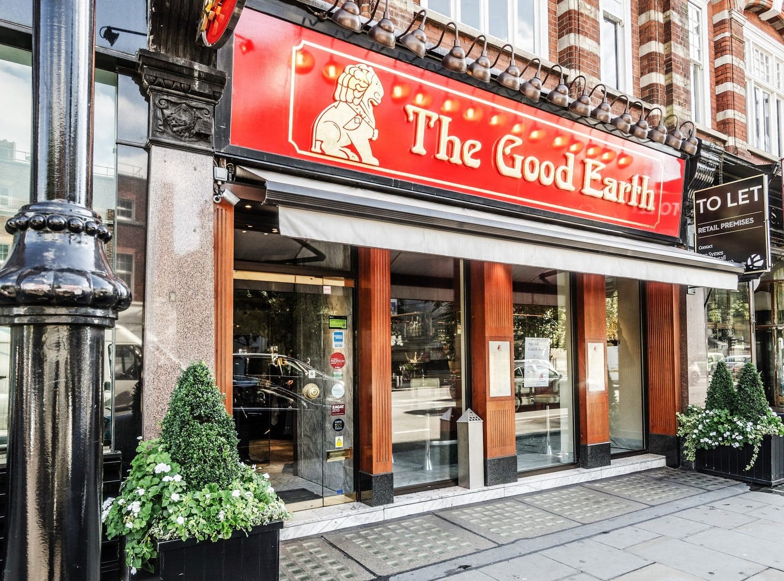 The Good Earth - image 1