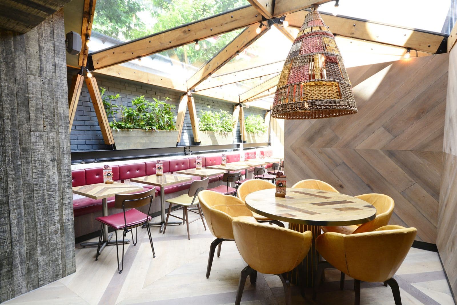 Nando's Shepherd's Bush - image 1