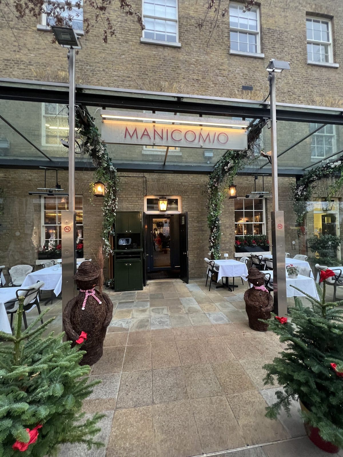 Manicomio - image 1