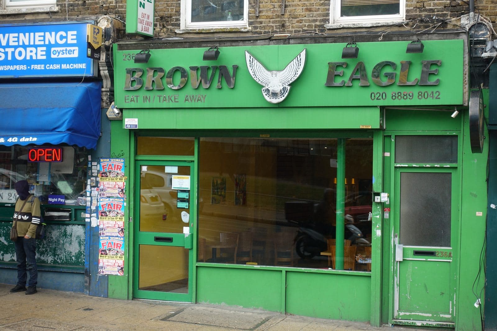 Brown Eagle - image 1
