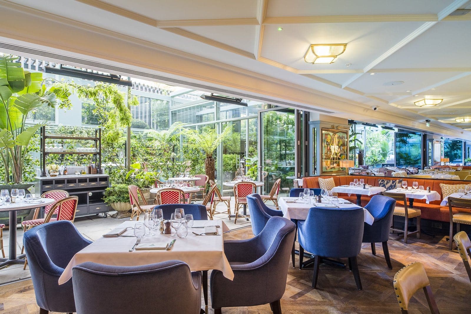 The Ivy City Garden - image 1