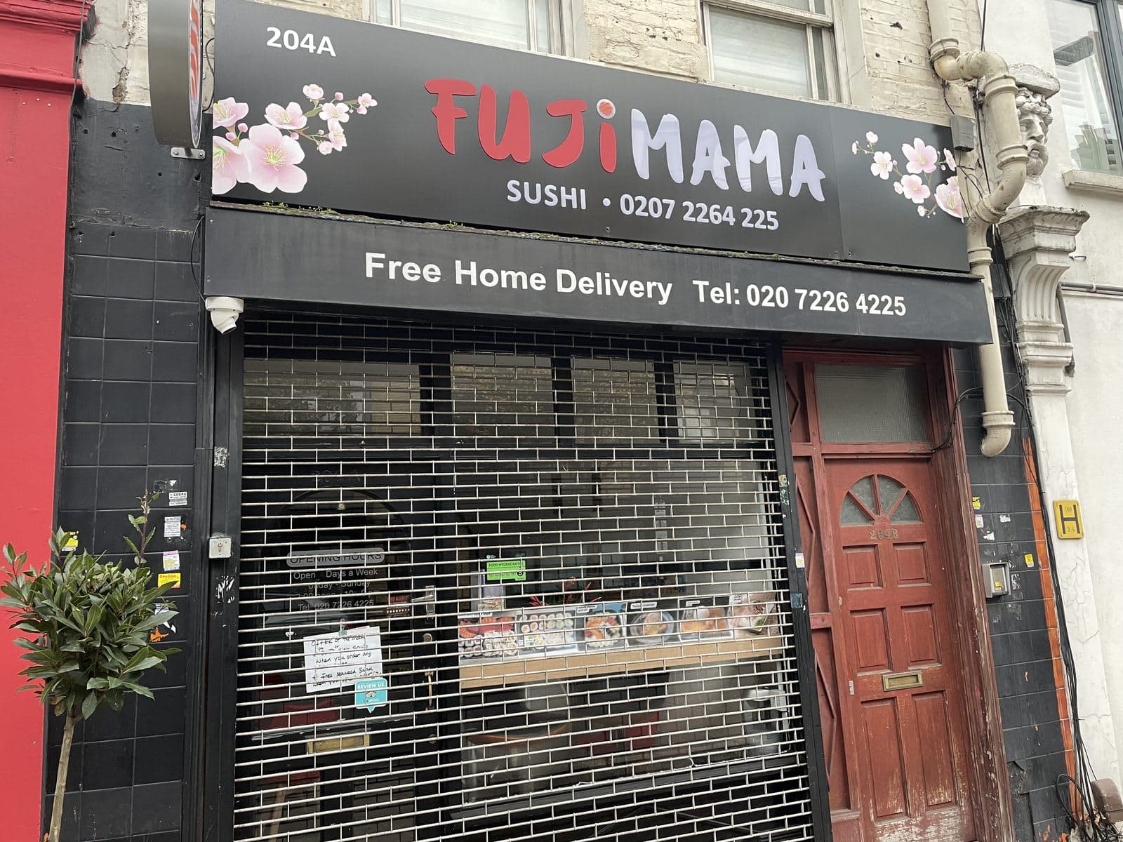 Fujimama Sushi - image 1