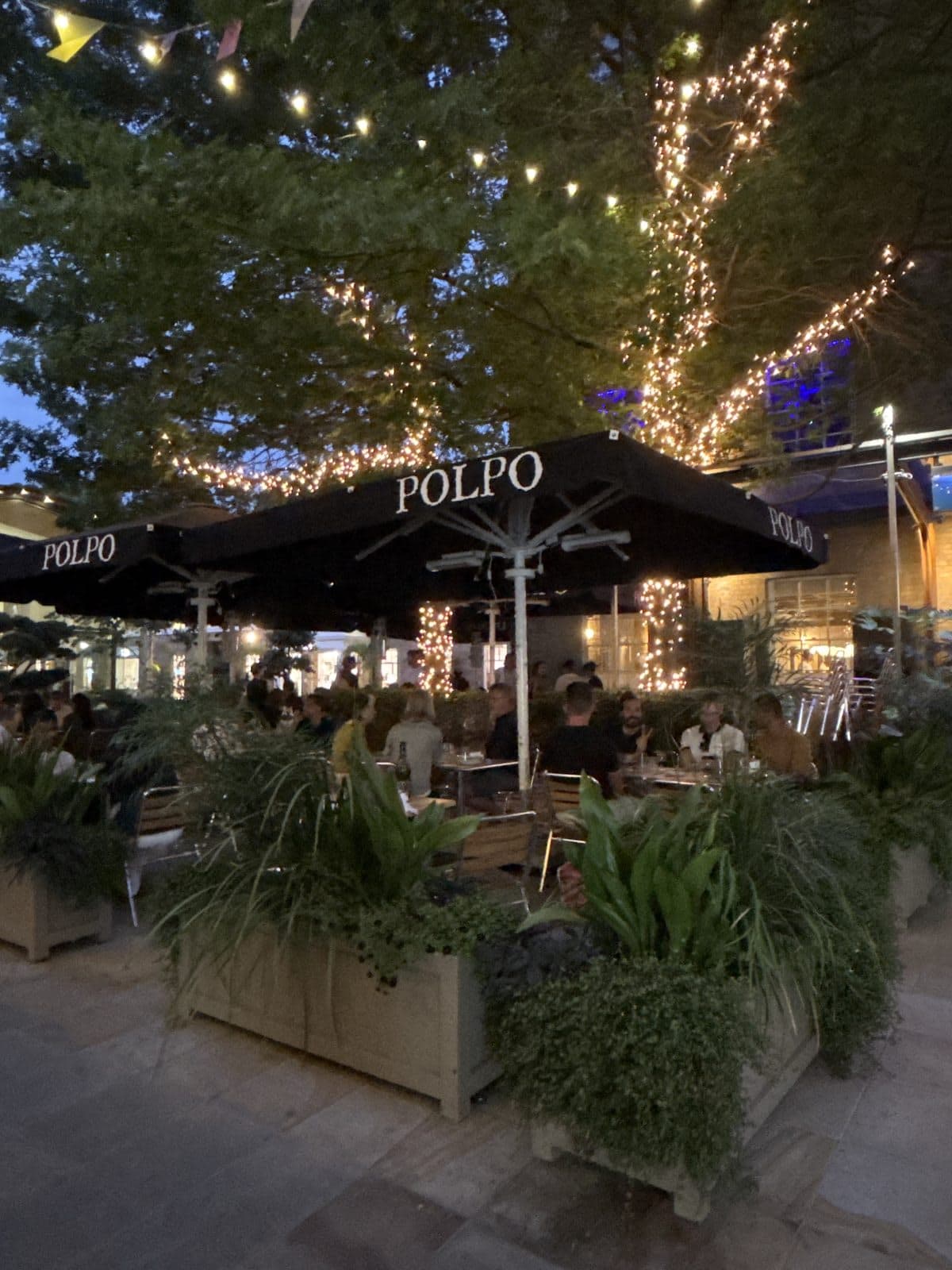 POLPO Italian Restaurant Chelsea - image 1