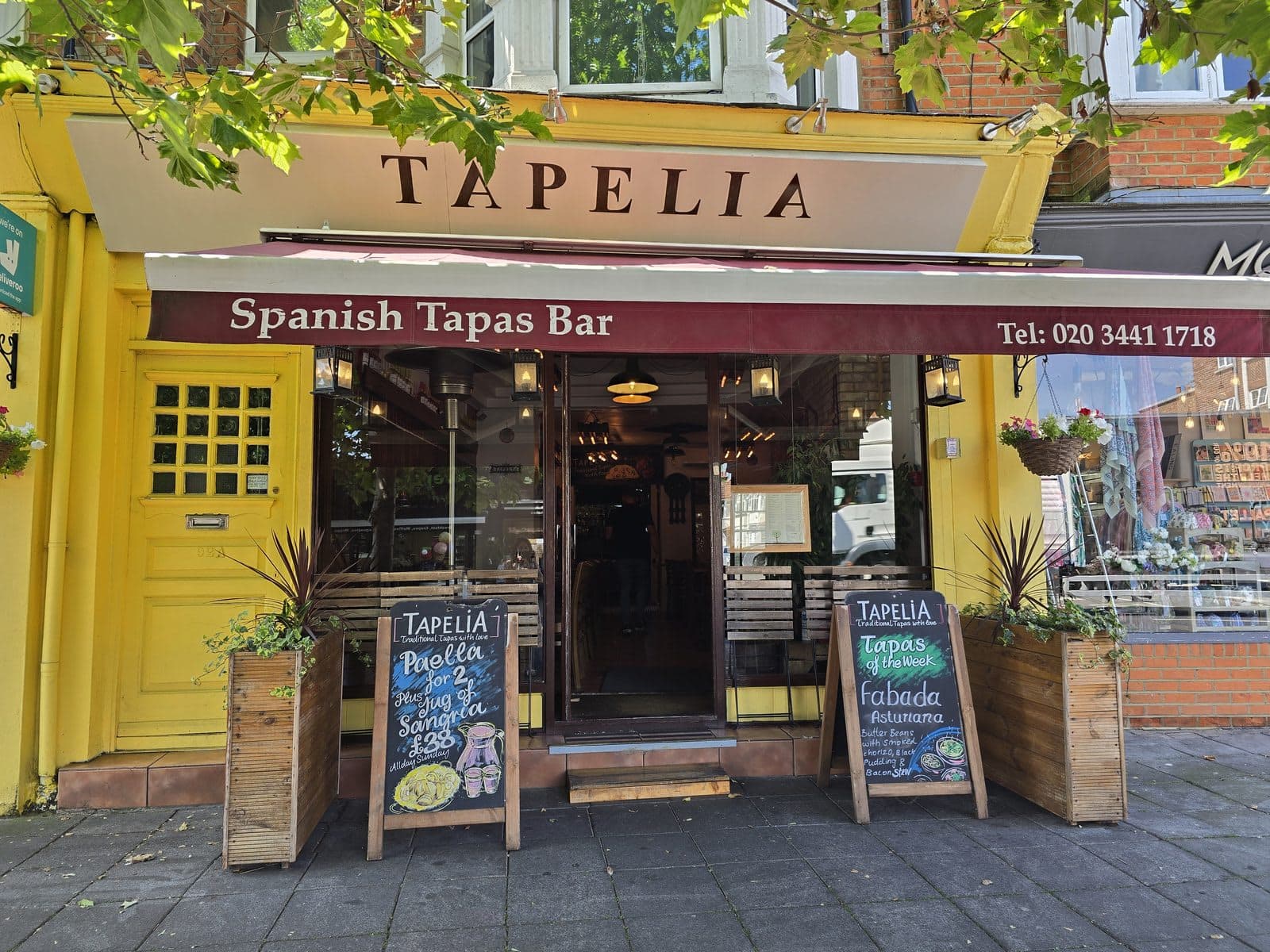 Tapelia - image 1