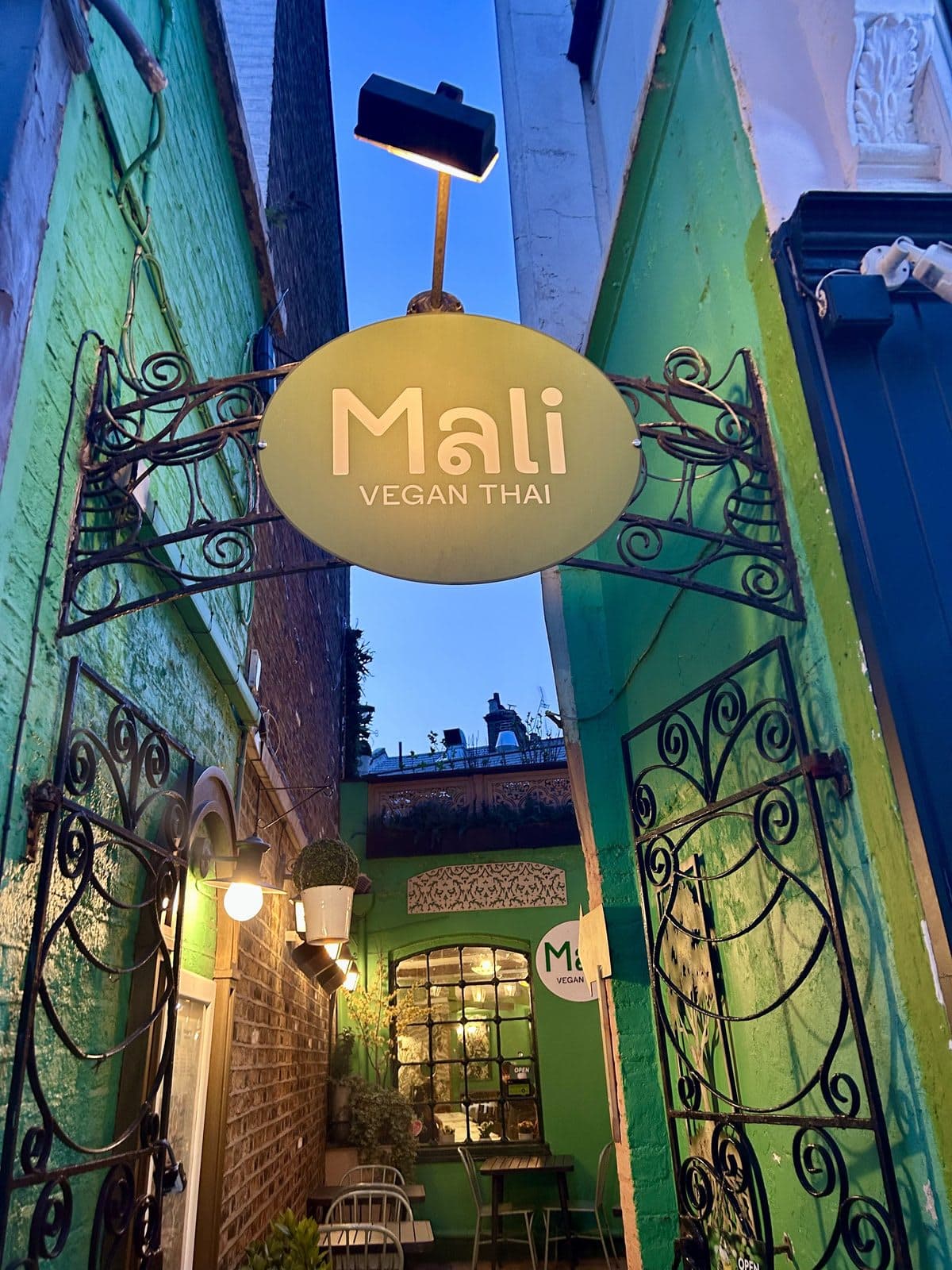 Mali Vegan Thai - image 1