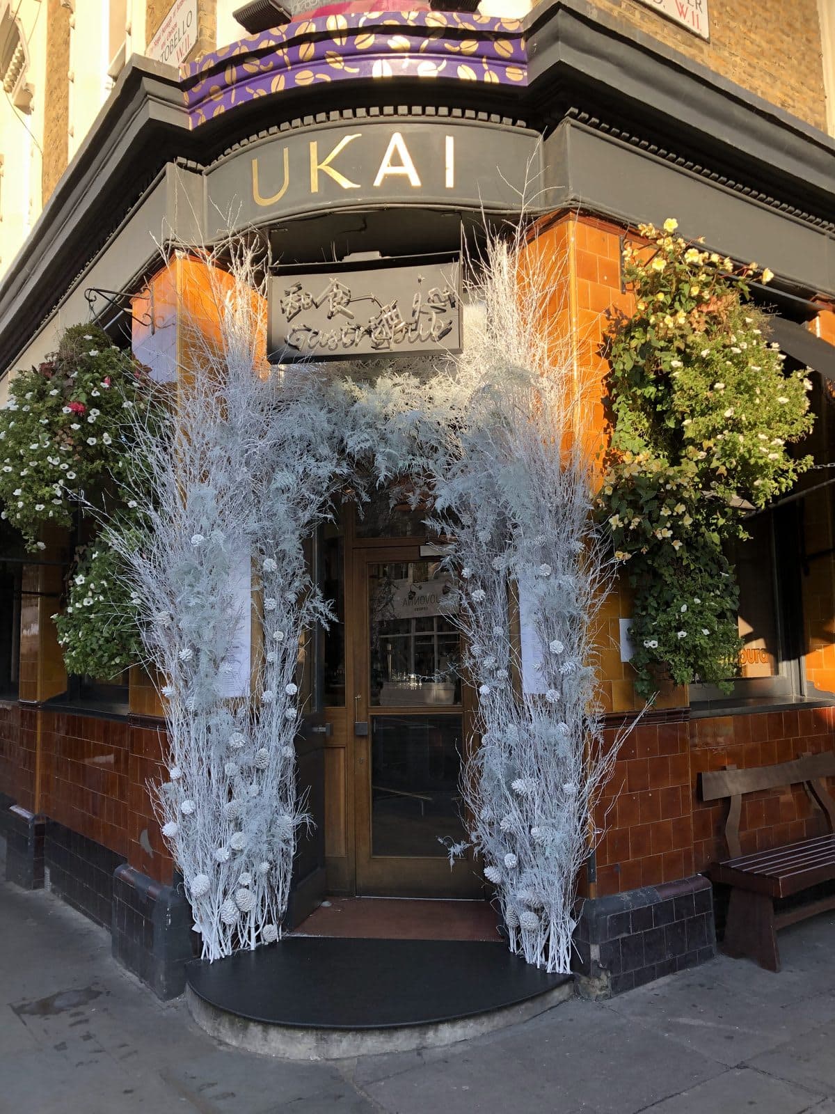 Ukai - bar restaurant - image 1