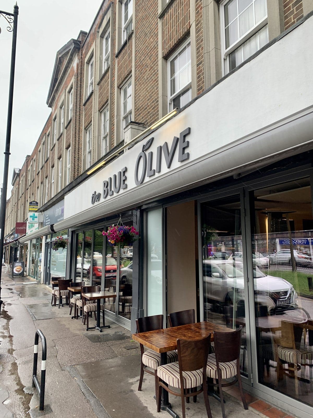 The Blue Olive - image 1