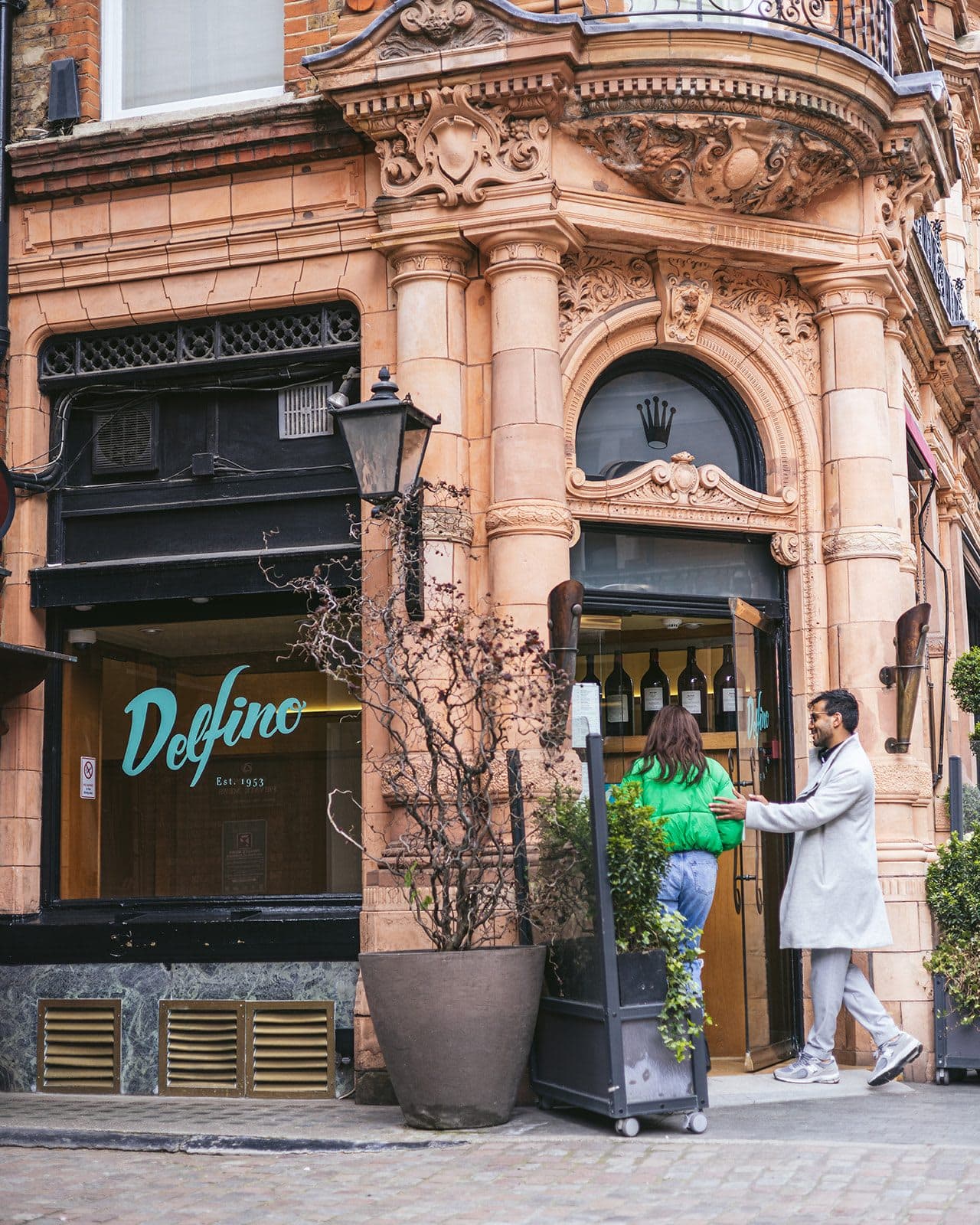Delfino - image 1