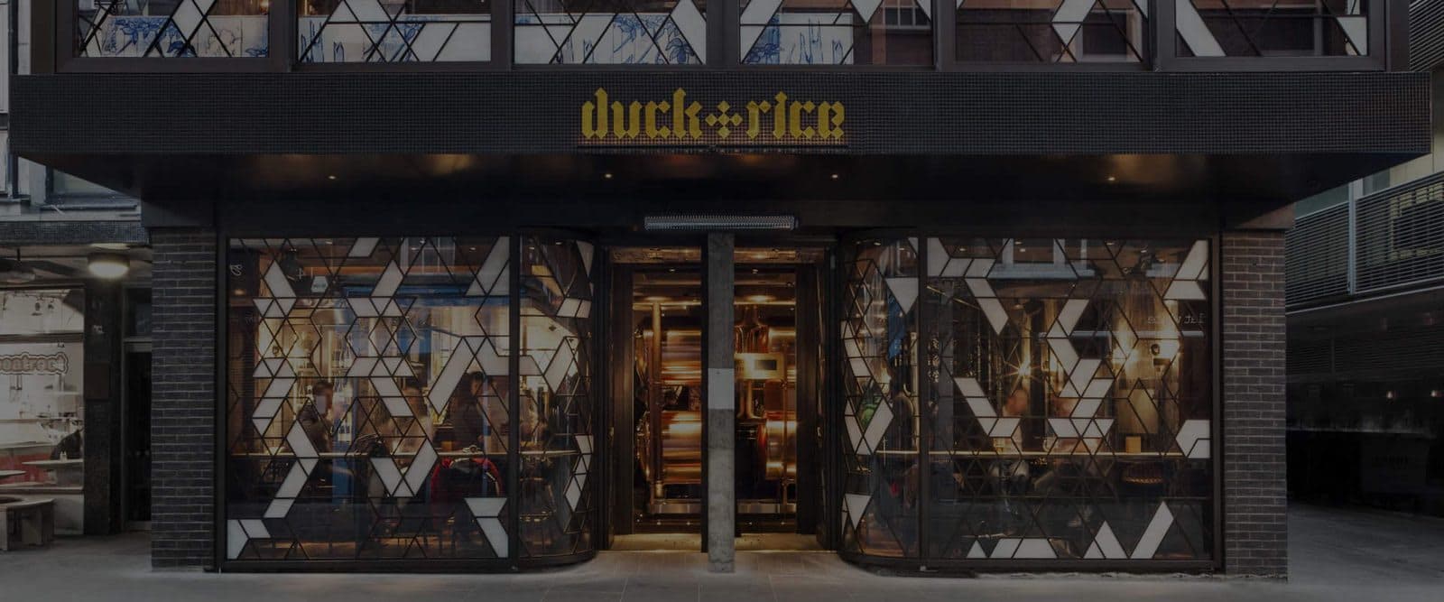 The Duck and Rice - image 1