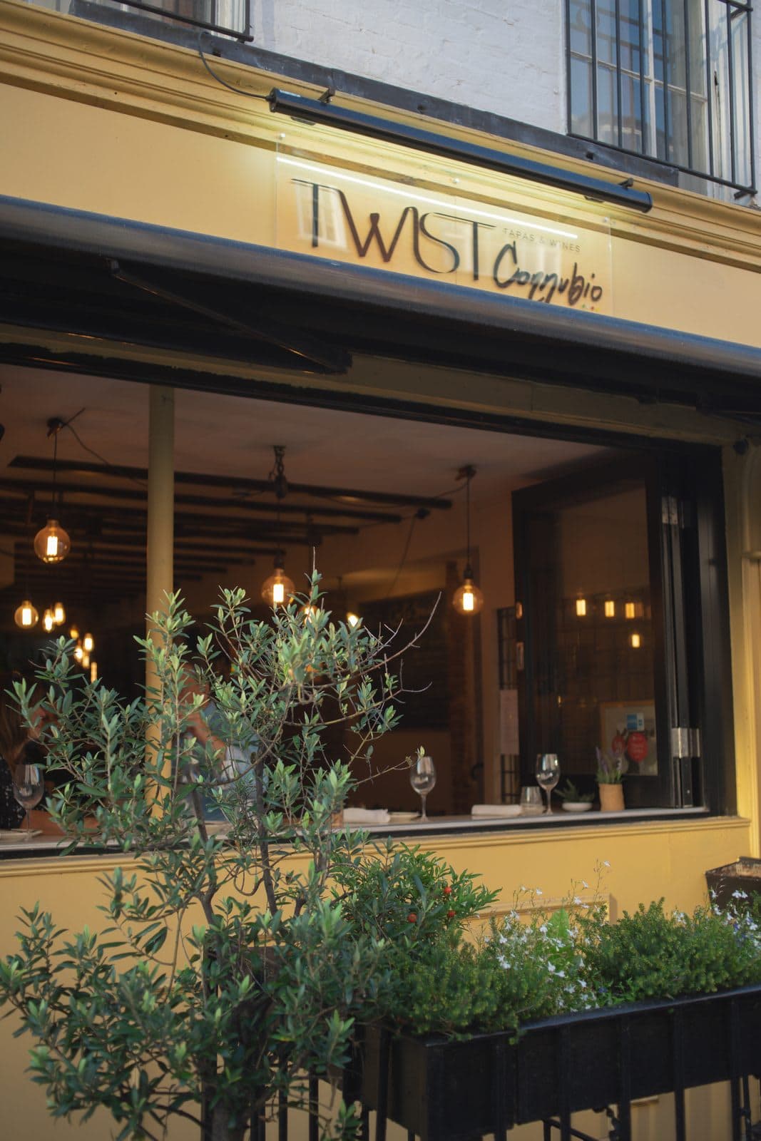 Twist Connubio - image 1