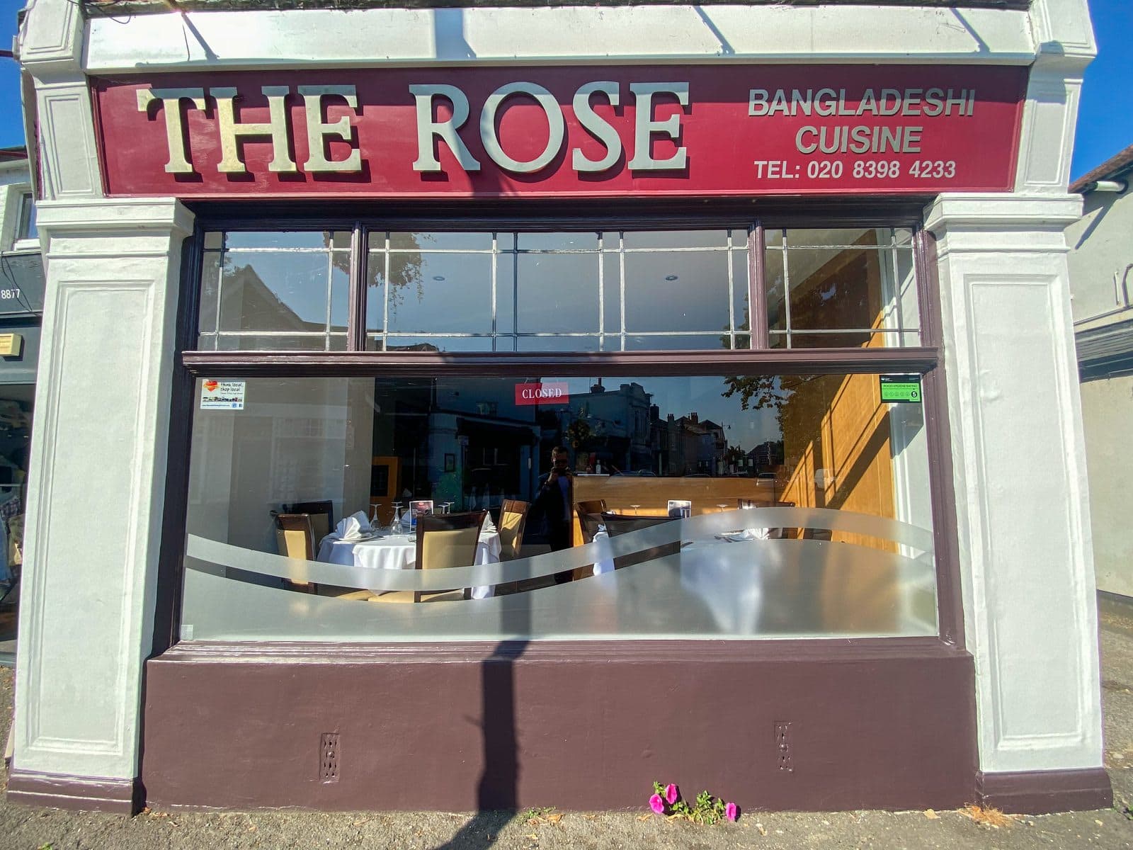 The Rose - image 1