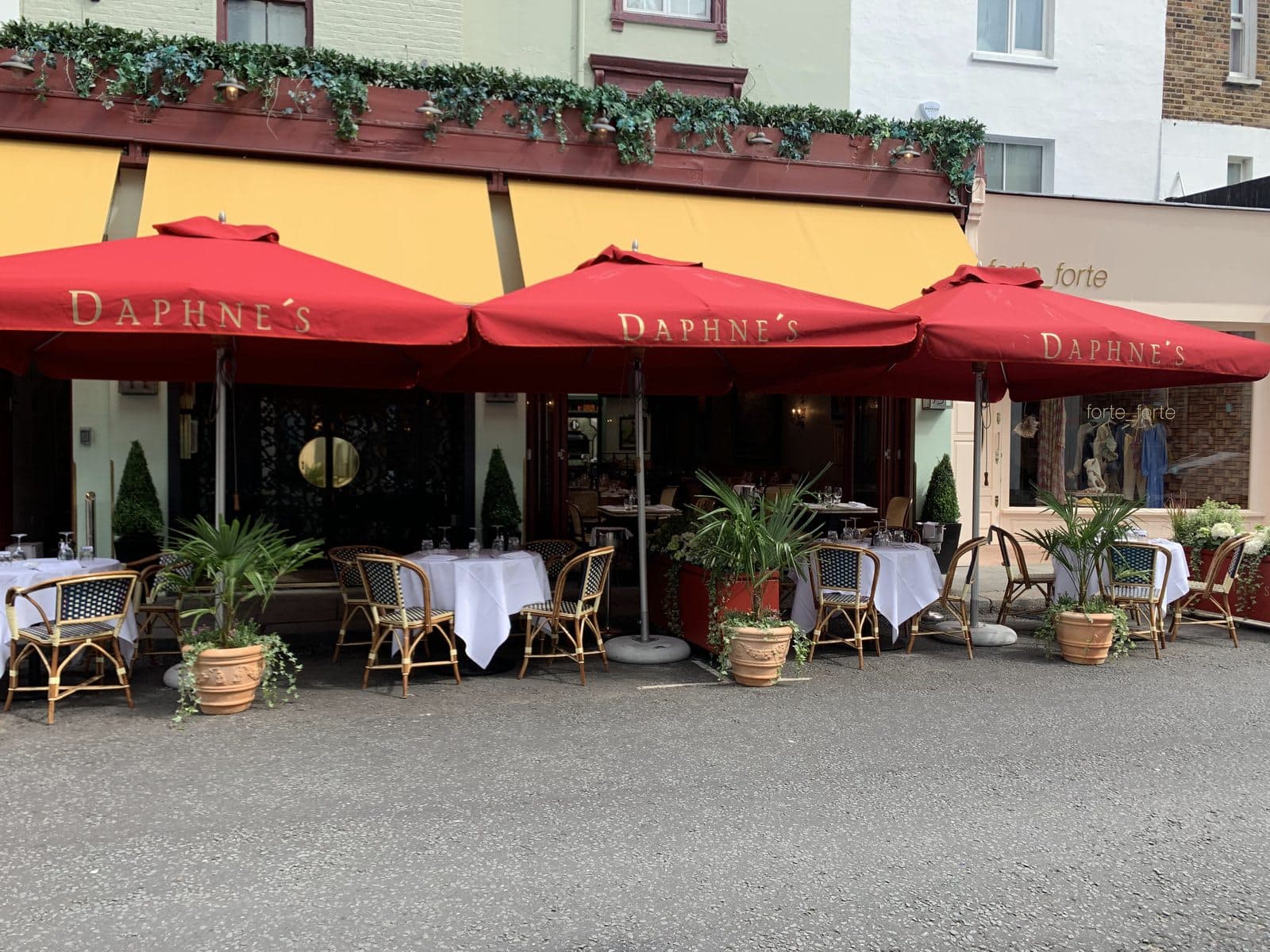 Daphne's - image 1