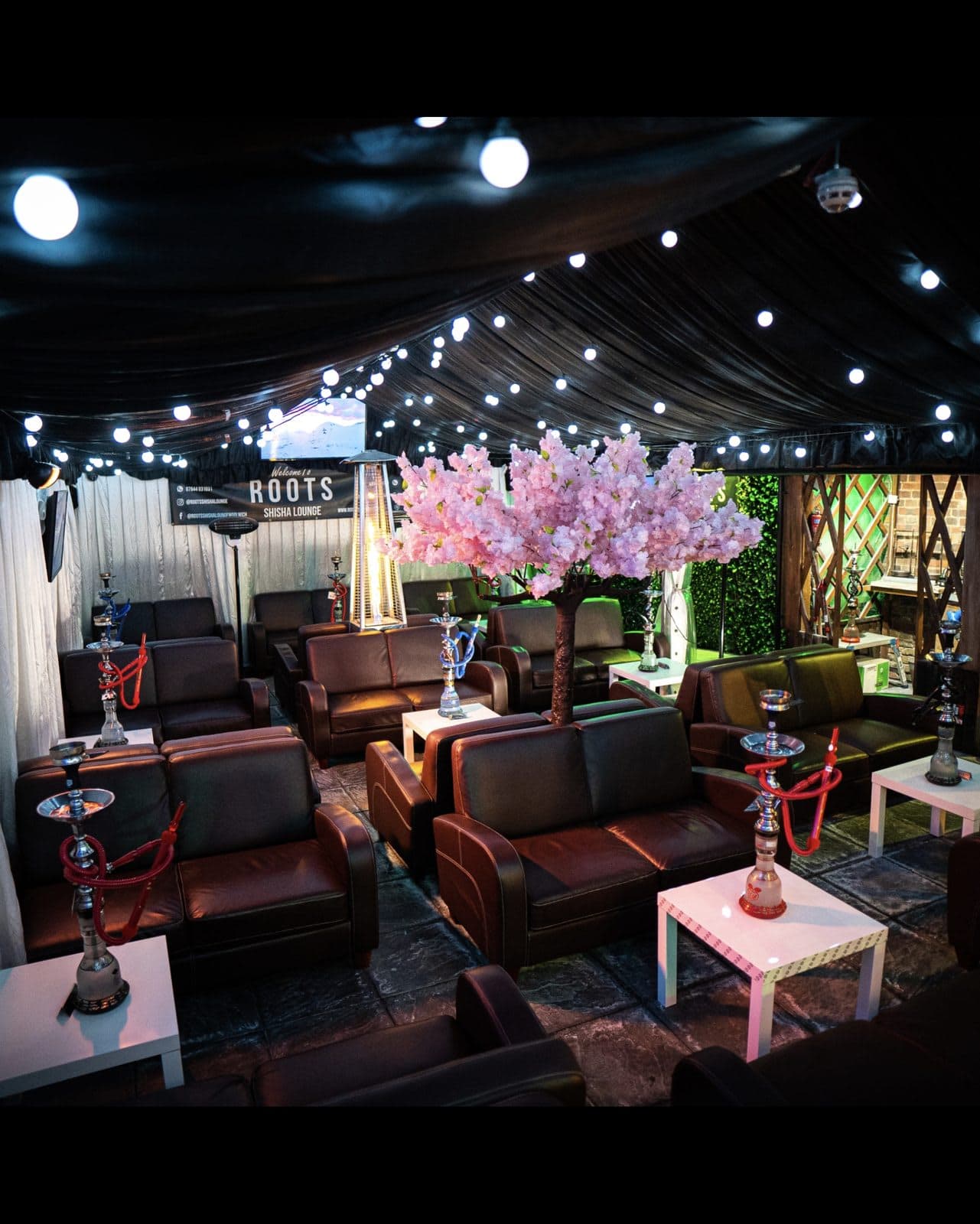 Roots Lounge - image 1