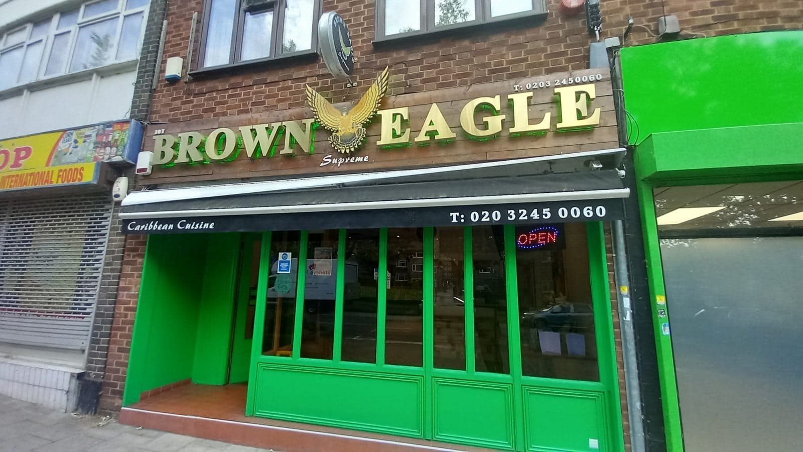 Brown Eagle - image 1